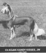 Kojak Kandy Kisses JW