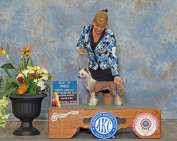 Ukc Ch Akc GchB Ch Crowned Dirty Little Secret By Jove CGC