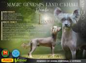 Magic Genesis Land C'Khaki