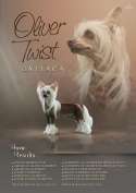 Oliver Twist Gattaca