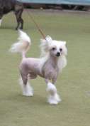 Magic of Success Buffy Simply The Best