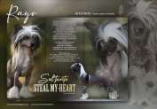 Sol'tanto Steal My-Heart