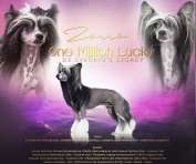 One Million Lucky de Lyboriu's Legacy